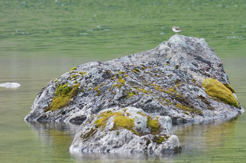 13 Elvedalen 12.jpg - Koskikara